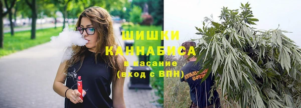 соль ск Медногорск