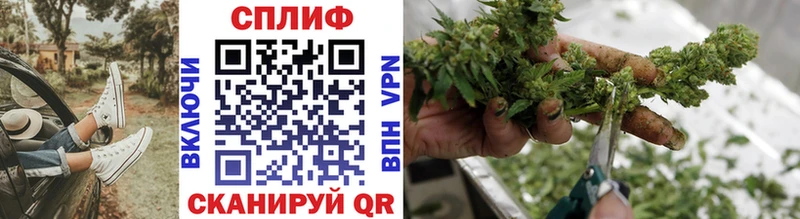 хочу   Задонск  mega ссылка  Бошки Шишки White Widow 